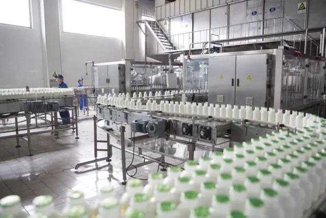 乳制品产业链上的金融活水 中行宁夏分行“益农贷”助力乡村振兴